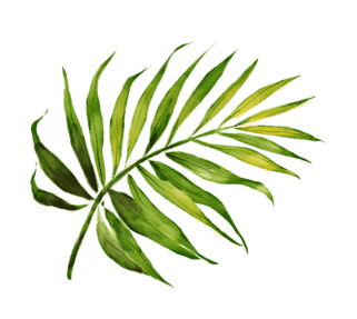 leaf-5